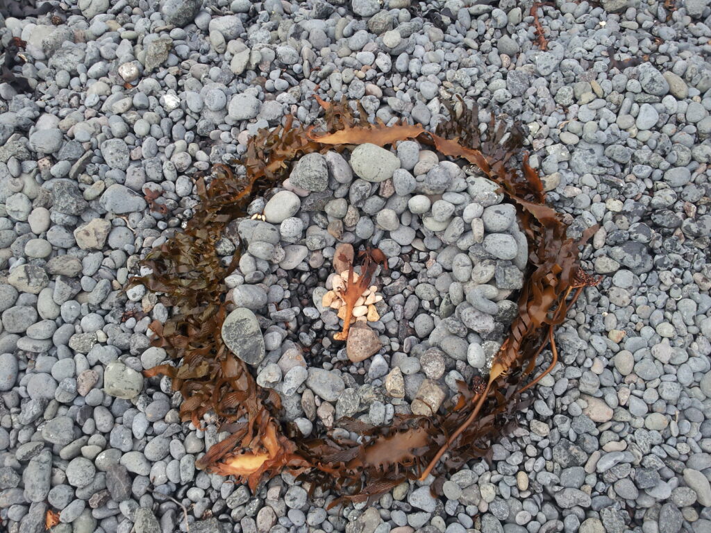 Ephemeral Art - Capr Schank